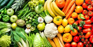 The Basics of Nutrition