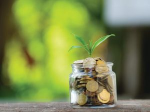 Financial Wellbeing: Getting Organized